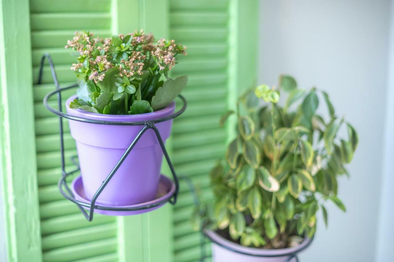 Athens Oasis Apartment Ngoại thất bức ảnh